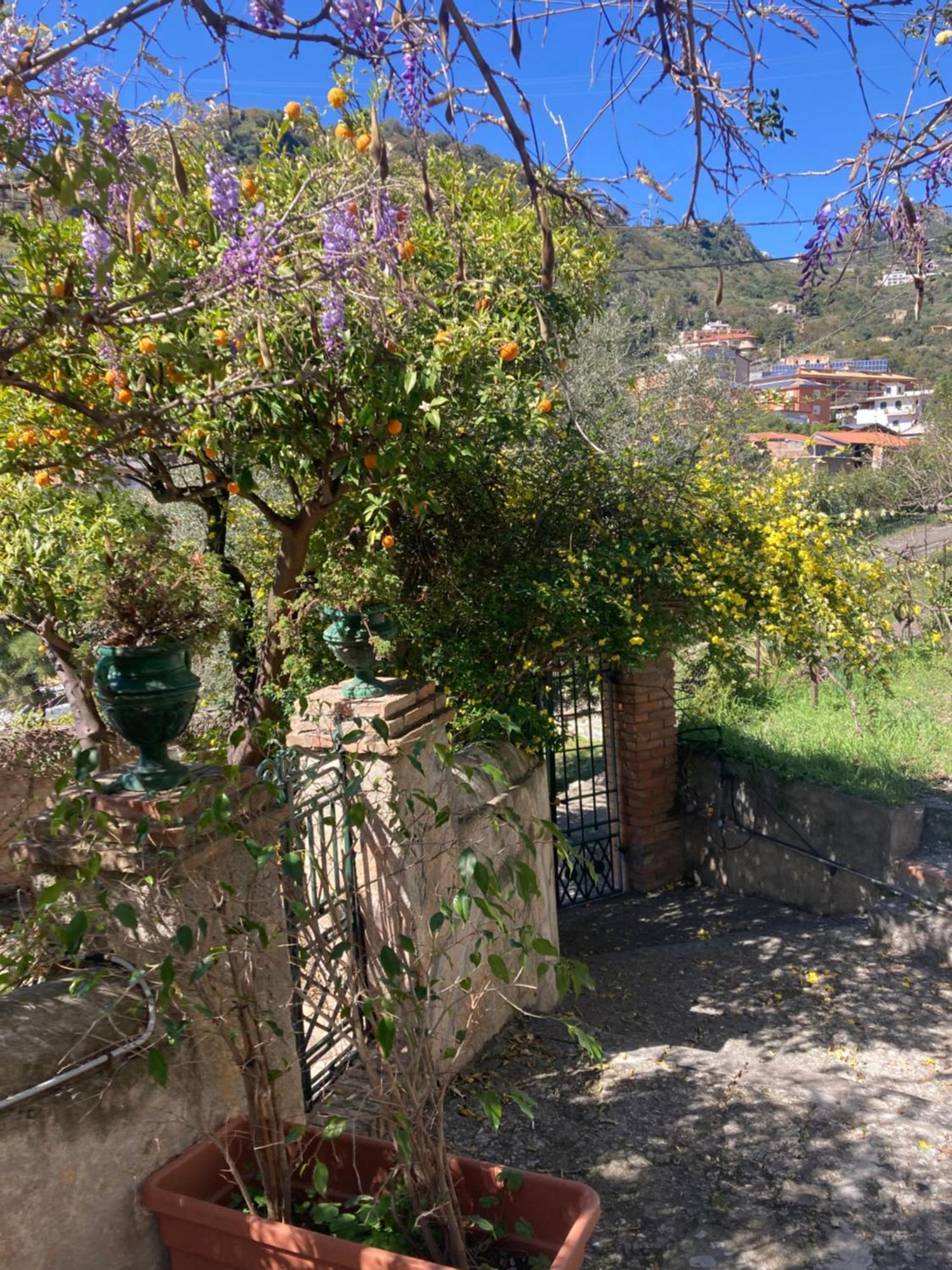 La Cava Apartamento